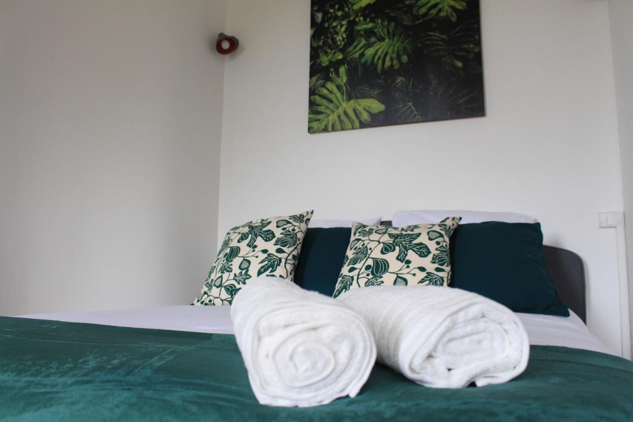 Apartmán Paul Sabatier-T1-Vue Sur Jardin-Luxe-Wifi-Fi-Velo Castelnaudary Exteriér fotografie